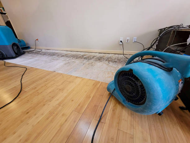 Professional Burst Pipe Water Damage technician working in Albion, WA